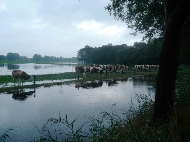 27 aug 2010 Hoog water in Meddo